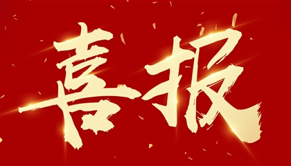 喜訊┃集團(tuán)黨委書記、董事長(zhǎng)向誠(chéng)榮獲市委表彰