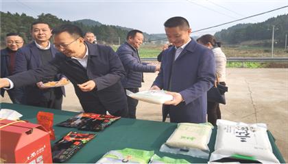 市委常委、政法委書(shū)記劉波濤帶隊(duì)調(diào)研指導(dǎo)定點(diǎn)幫扶村鄉(xiāng)村振興工作